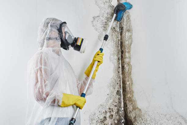 Water damage restoration process in Rolling Meadows, IL